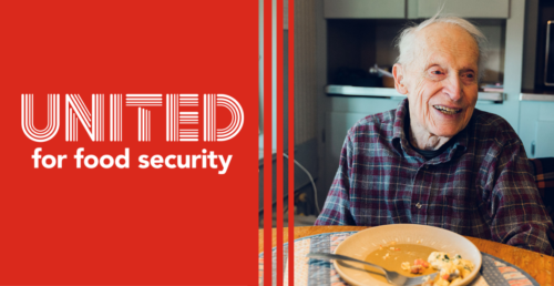 Cover of Digital Shareable - Food Security (Senior)